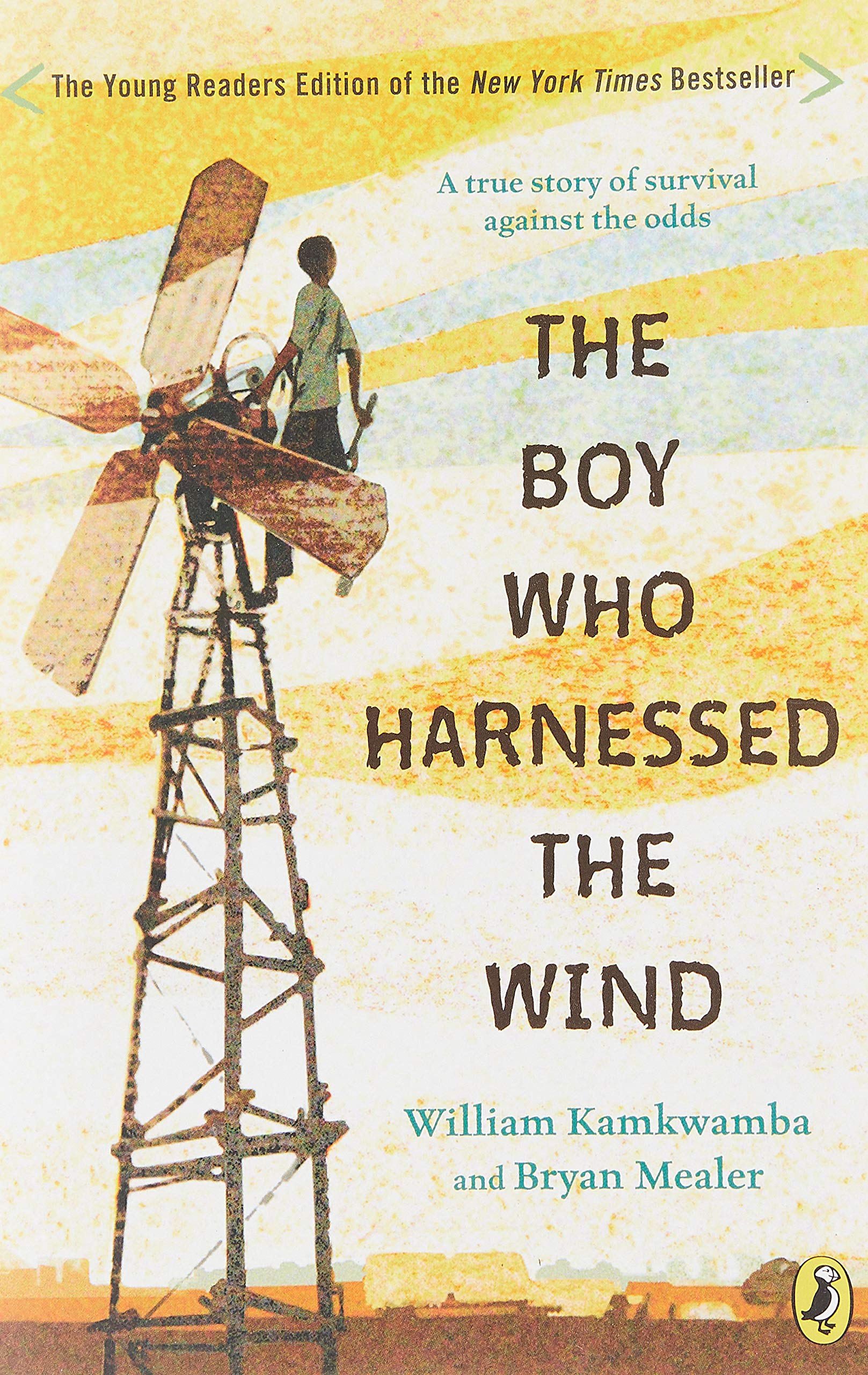 Book cover for The Boy who Harnessed the Wind