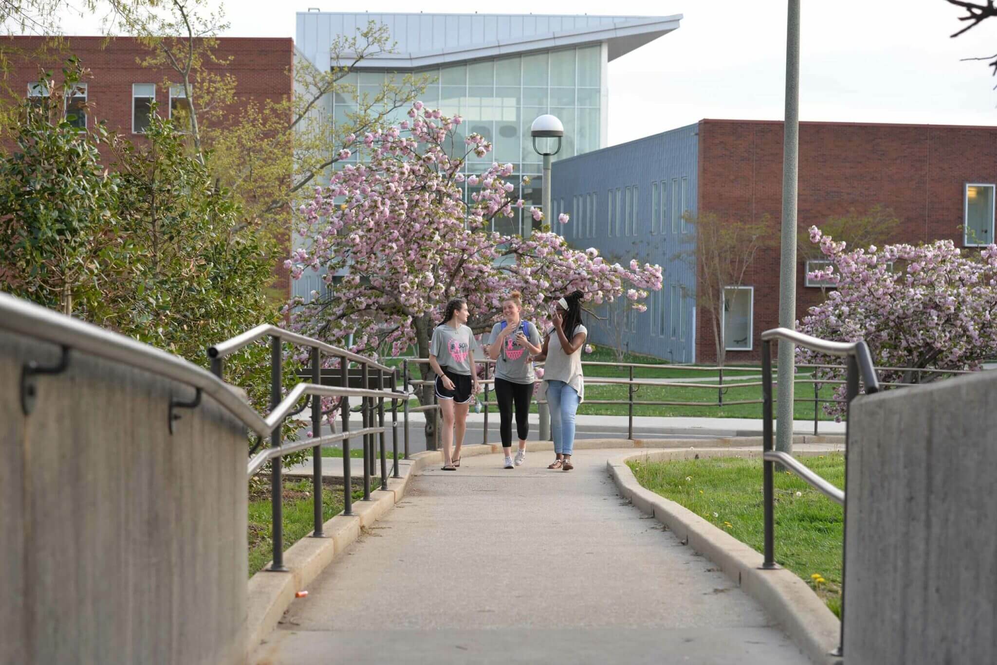 DE PKZ Sororities Woman Scholarship Fund Gallaudet University