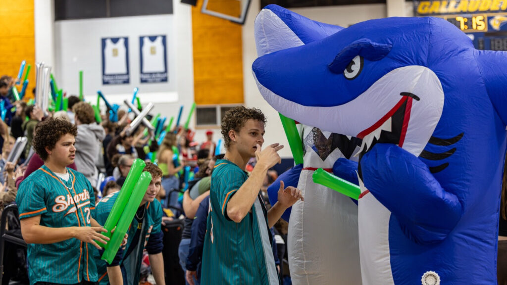 A photo of a lively college pep rally in a school gym. Prominent on the right is an unseen person in an inflatable shark costume with the mien of a smiling, toothy cartoon shark. Another shark is behind them. To the left, in the foreground, are two students in blue-green baseball jerseys. In the background on the left is a cheering crowd.