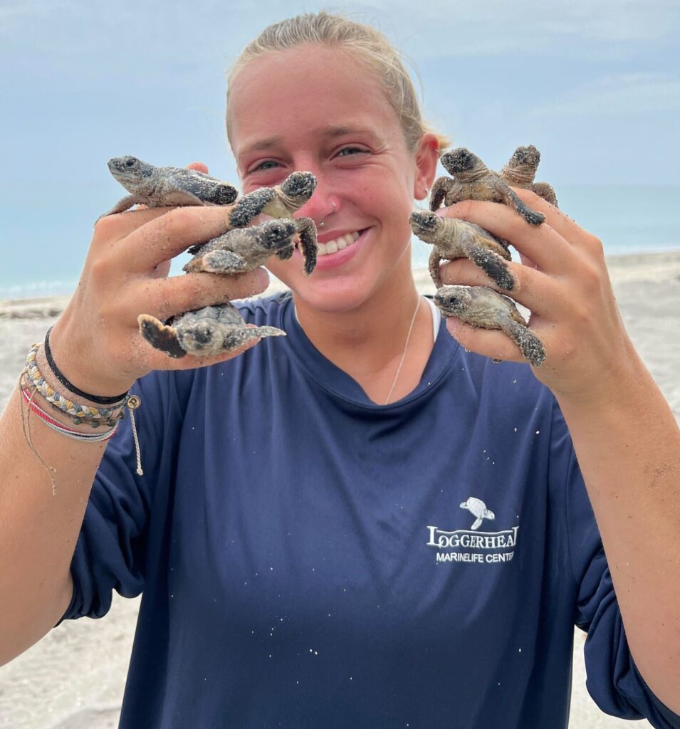 A smiling individual holds several small sea turtles in their hands, standing on a sandy beach with a cloudy sky in the background. They are wearing a dark blue shirt with a logo.