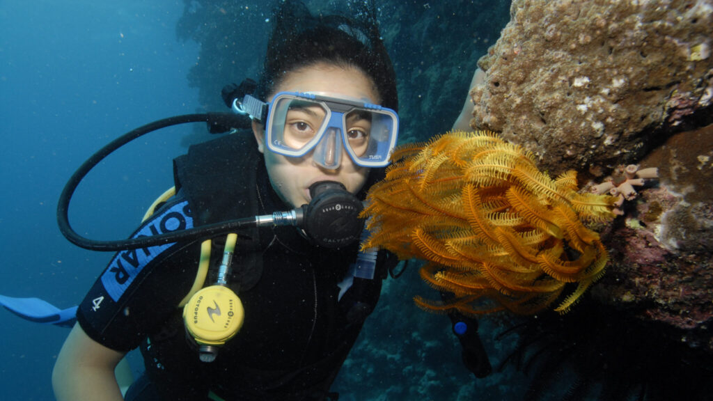 An underwater photo of a person scuba diving. They are looking at the camera. They have scuba gear, including googles, a rebreather, and wet-suit. On the right is a rock with a bright orange sea plant that looks like a small fern.